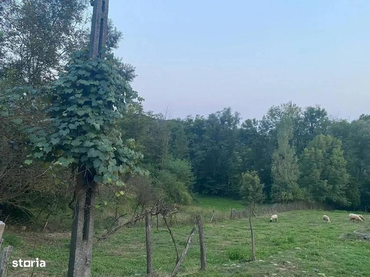 Teren De Vanzare 1.688 Mp| Sultanu | Visinesti | Dealurile Sultanului - 1