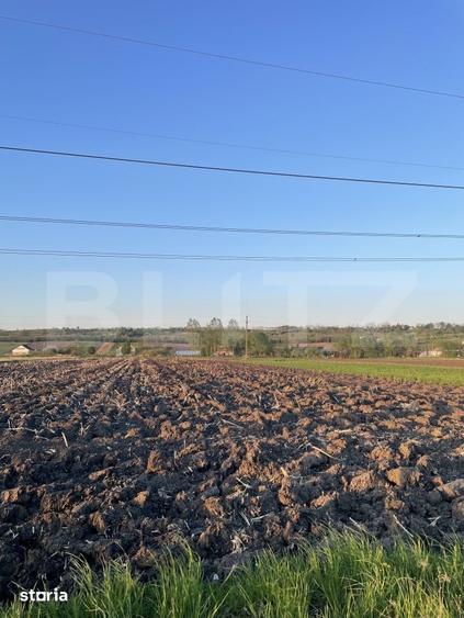 Teren de 3600 mp, în Forăști