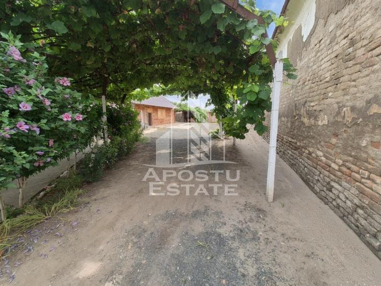 Casă individuală cu 3 camere cu Canalizare în Teremia Mare