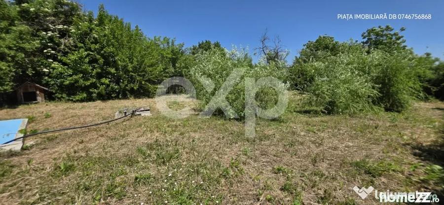 Casă cu 3 camere cu Teren 1000 Mp în Răzvad