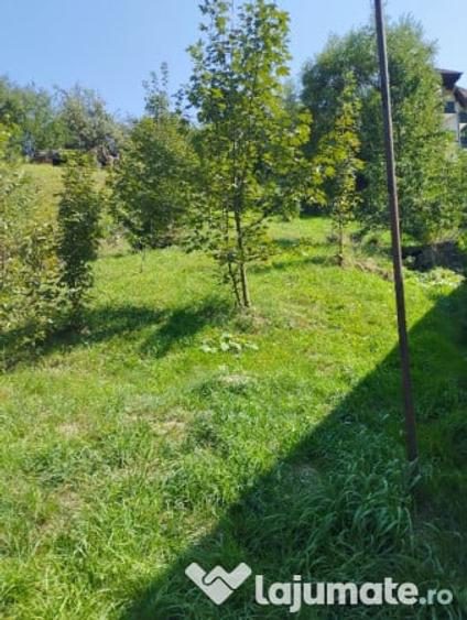 IDEAL pentru investi?ie,Vila Moieciu intre mun?ii Bucegi ?i Piatra Craiului - De v. sau schimb - 8