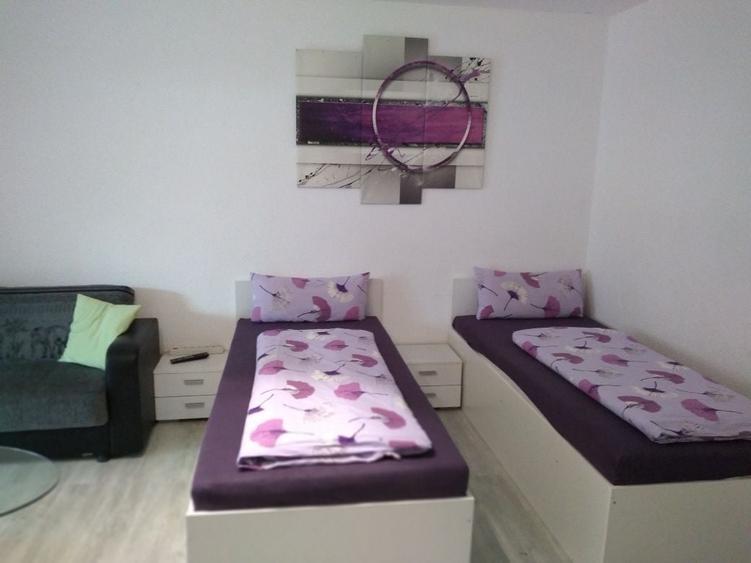 Apartament cu 2 camere decomandat în Crinț