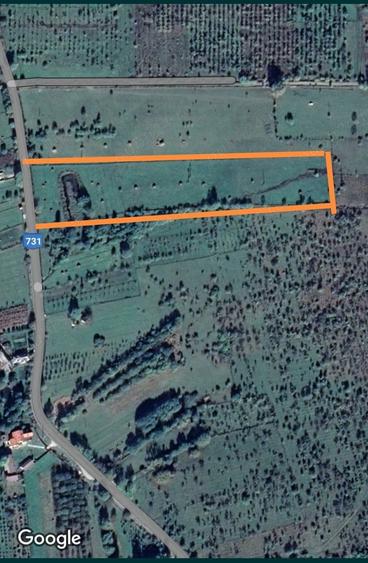 Teren de 18100 mp, în Domnești