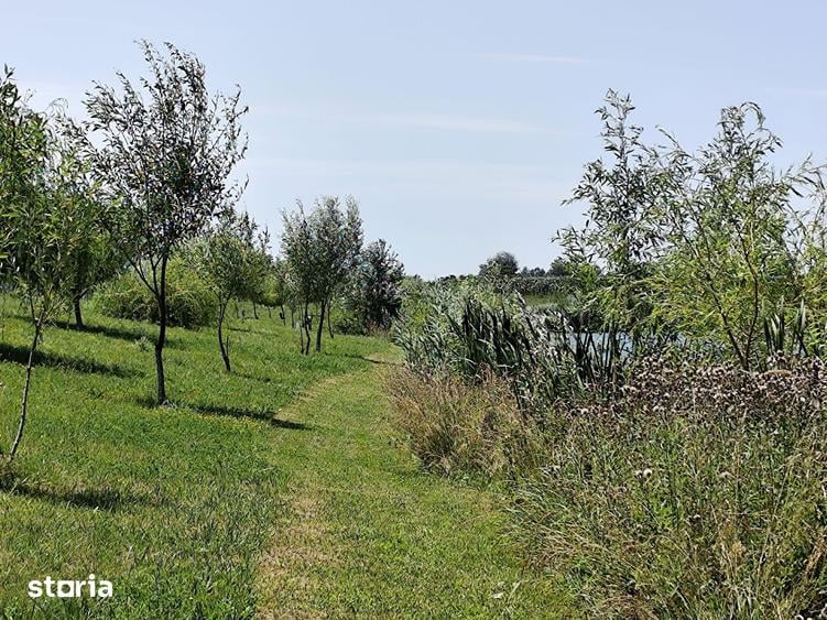 Teren de 63700 mp, în Borș