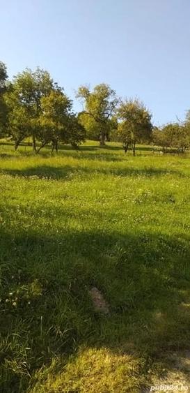 Urgent! Vand teren Moieciu de jos - 2