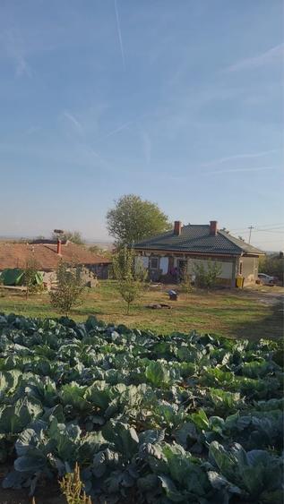 Casă cu 4 camere în Vânători