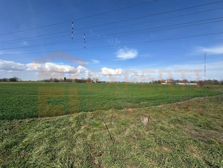 Teren Construcții extravilan de 18000 mp, în Valu lui Traian