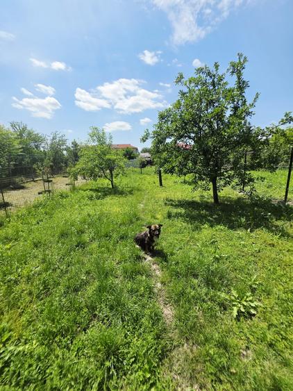 Casă individuală cu 3 camere cu Teren 536 Mp în Ceptura de Jos