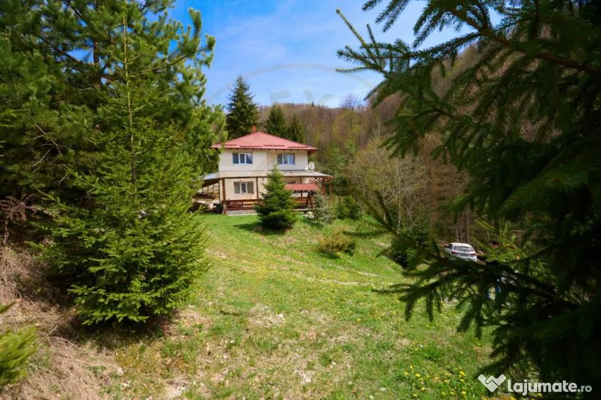 Casă cu 5 camere cu Teren 6412 Mp în Dâmbovicioara