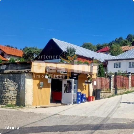 Casă cu 5 camere cu Teren 1500 Mp în Valea Doftanei