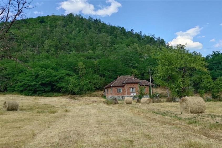 Casă individuală cu 4 camere cu Teren 9563 Mp în Exterior Nord