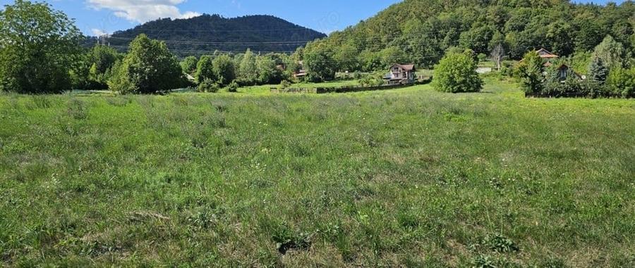 Teren de 1434 mp, în Viișoara