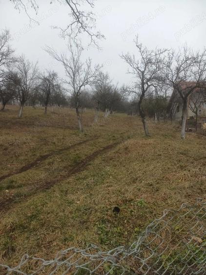 Teren de 2600 mp, în Fedeleșoiu