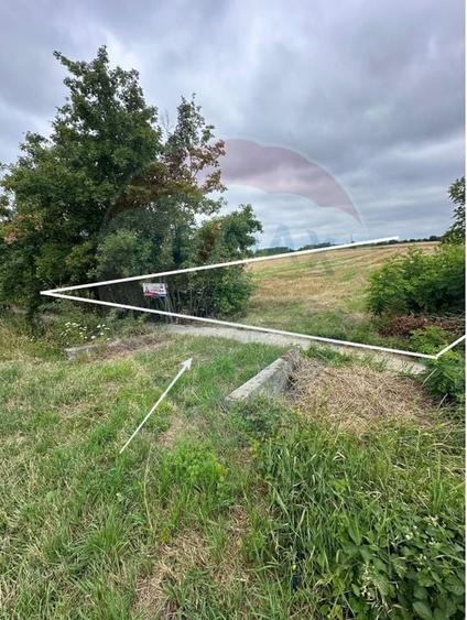 Teren Construcții intravilan de 5800 mp, în Agriș