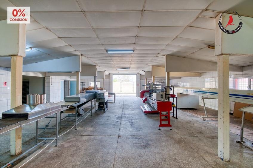 Spațiu industrial, în Frătești