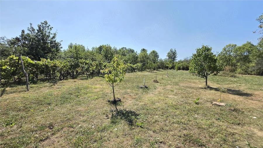 Casă cu Teren 4400 Mp în Petrilova