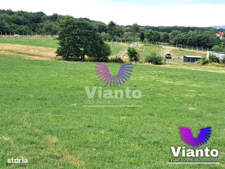 Oportunitate-Teren Extravilan 3100 mp cu vedere Panoramica-Tropinii No - 4