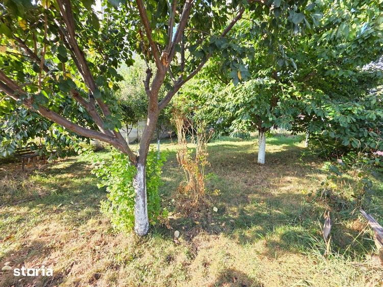 Casa in Roman, 3 camere, caramida, 480 mp teren, 75000 euro - 9