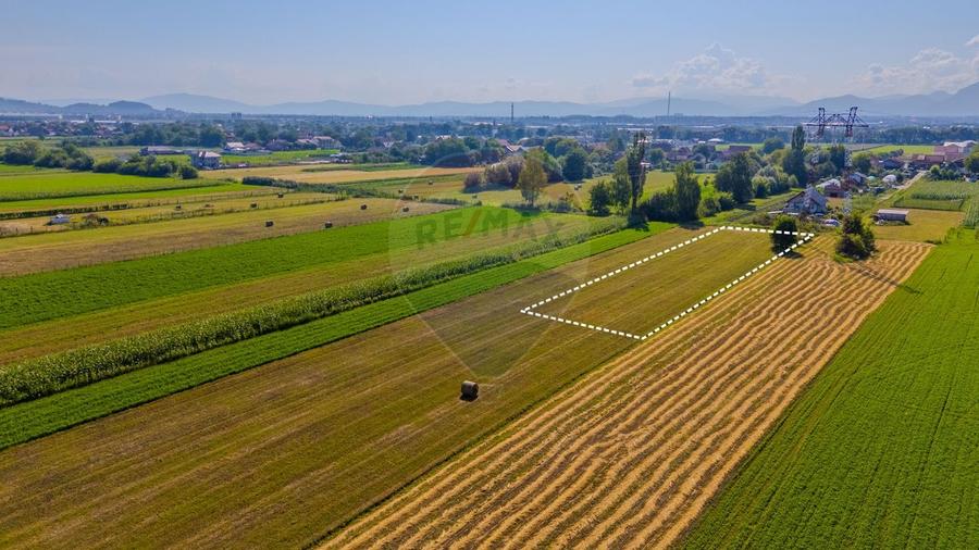 Teren Construcții intravilan de 3098 mp, în Stupini