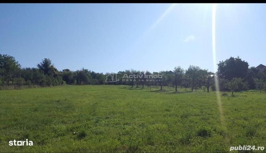Teren cu suprafata generoasa, situat in zona linistita, la 15 minute d - 3