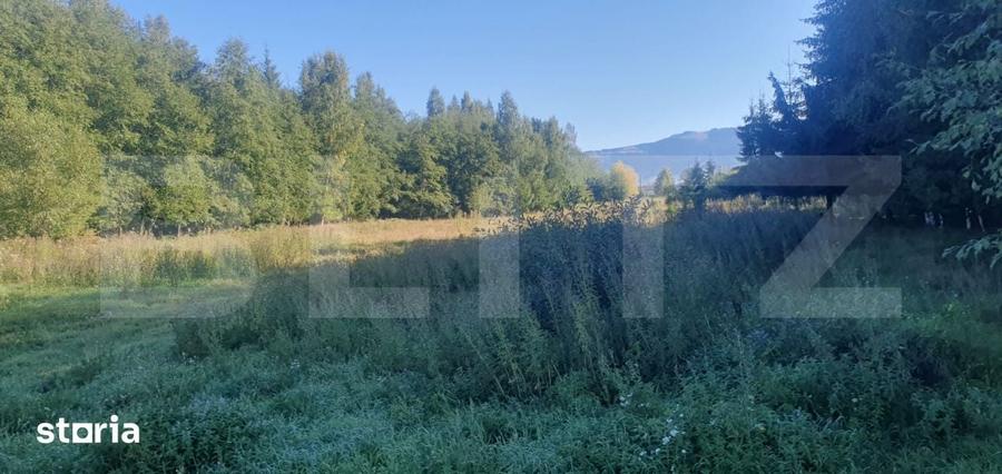 Teren intravilan, 14.540 mp, zona Neagra Sarului - Vatra Dornei - 2