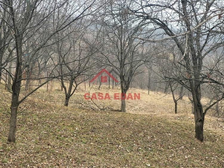 Casă cu Teren 1358 Mp în Gura Beliei