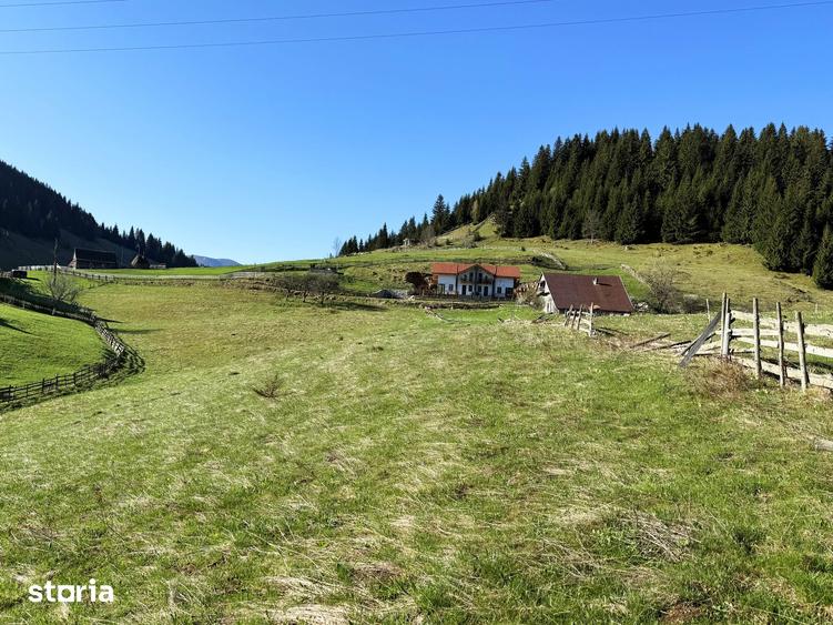 Teren intravilan, 8400 mp, comuna Fundata, zona Bran-Moeciu, Brasov - 5