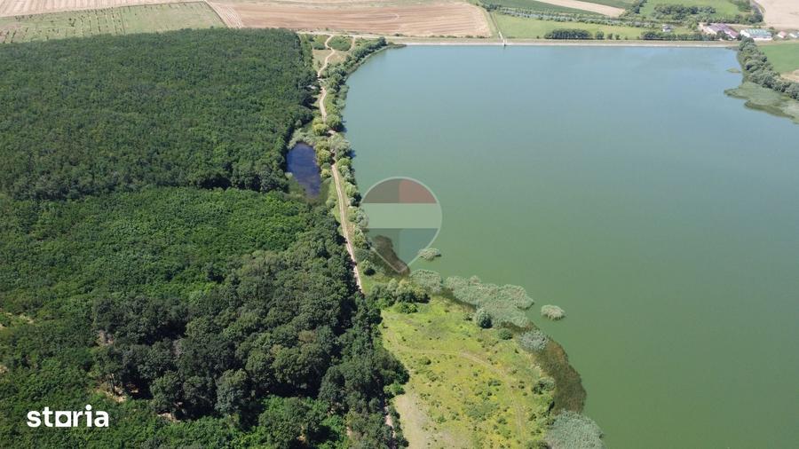Teren 2404 mp la Lacul Murani langa padure concept Green and Blue - 2