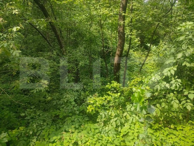 Teren Construcții intravilan de 5857 mp, în Horodnic