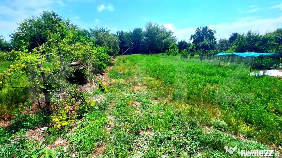 Casă cu 3 camere cu Teren 425 Mp în Cricău