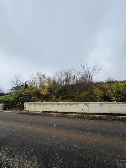 Teren intravilan de 2149 mp, în Dealuri Oradea