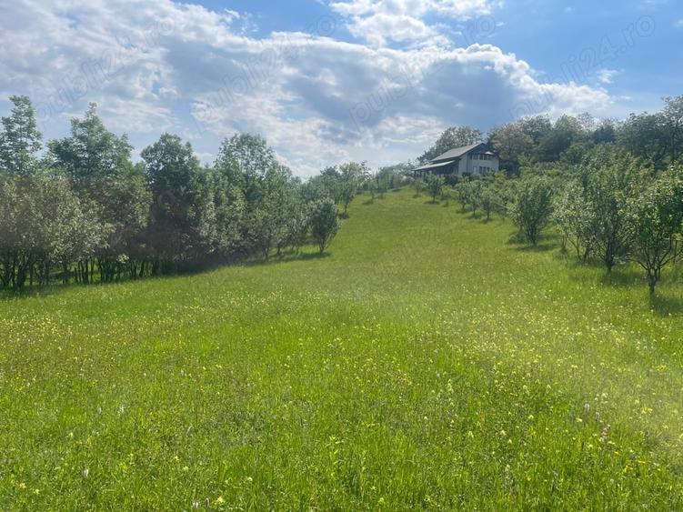 Teren de 5000 mp, în Schiulești