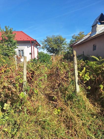 Casă cu Teren 1000 Mp în Daneți