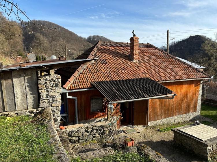 Casă cu 3 camere în Săcărâmb