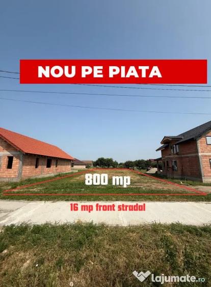 Teren în Peciu Nou