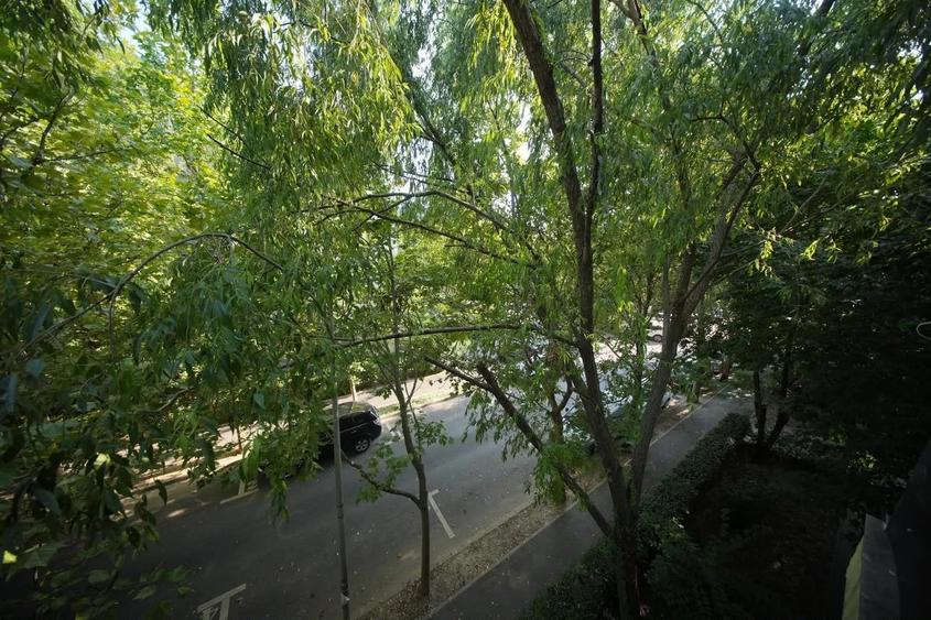 Apartament cu 2 camere decomandat în Drumul Taberei