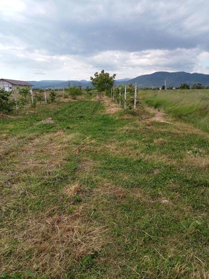 Teren în Mocira