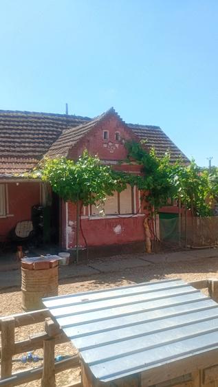 Casă cu Teren 1450 Mp în Agrișu Mare