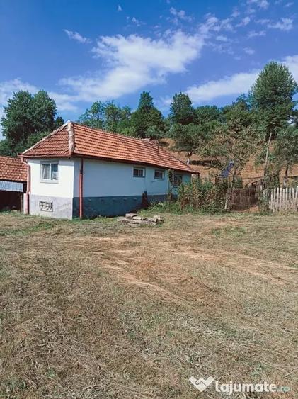 Casă cu 2 camere în Jiu-Paroșeni