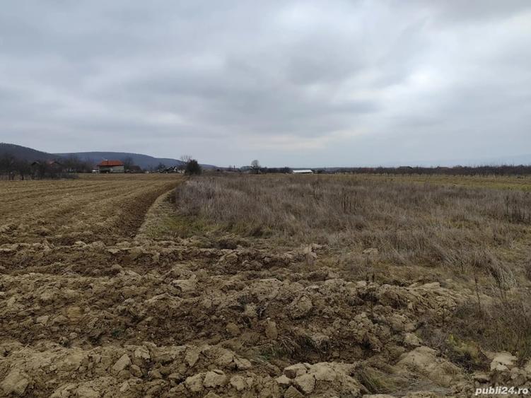 Teren de 2200 mp, în Budești