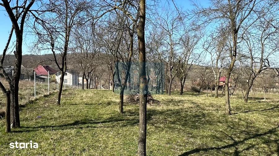 Casă cu 3 camere cu Teren 3349 Mp în Central
