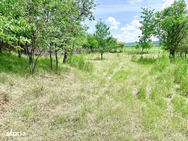 Casă cu 2 camere cu Teren 1384 Mp în Alma