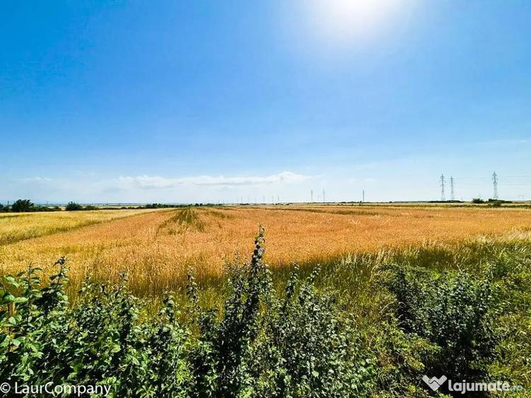 Teren de 75000 mp, în Costești