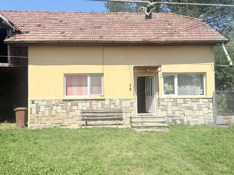 Casa interbelică cu arhitectură deosebită+Anexa și teren 1570 mp - 30