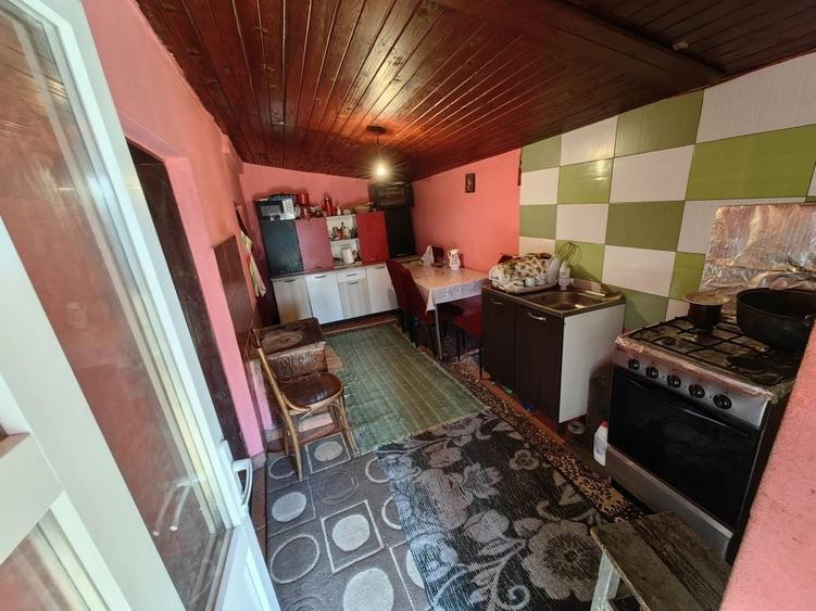 Casa 30km de bucuresti Cascioarele Giurgiu 2100mp - 1