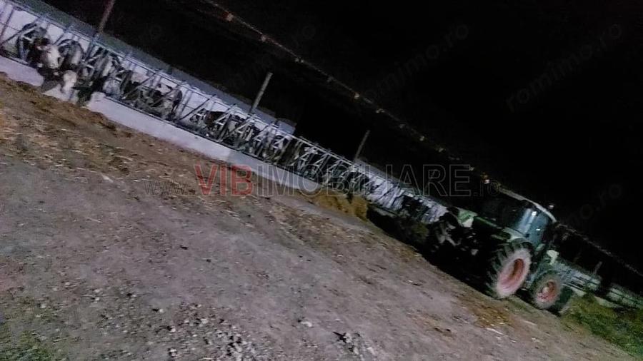 Teren de 2000000 mp, în Cenad