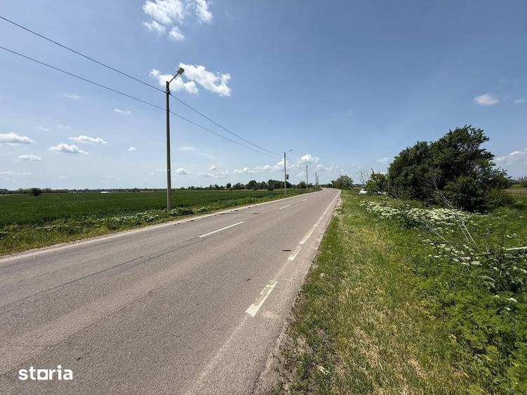 Teren de 3400 mp, în 1 Decembrie