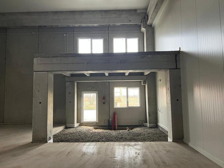 Spațiu industrial, de 523 mp, în Sânandrei