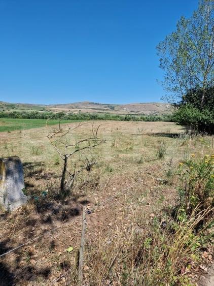 Teren agricol extravilan de 5008 mp, în Iara