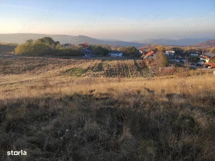 PF Vand Teren Intravilan Salicea - 100Euro mp - 5